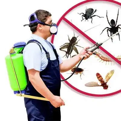 pest control La Fargeville